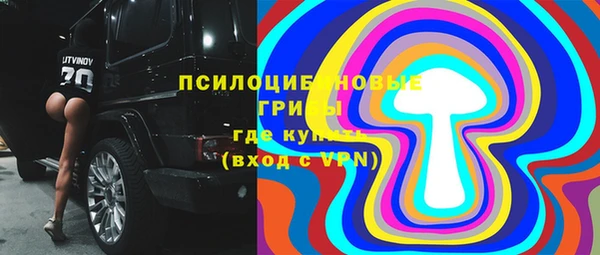ПСИЛОЦИБИНОВЫЕ ГРИБЫ Абаза
