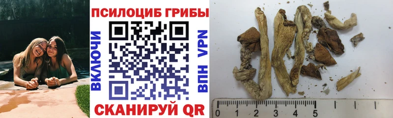 Галлюциногенные грибы Cubensis  Истра 