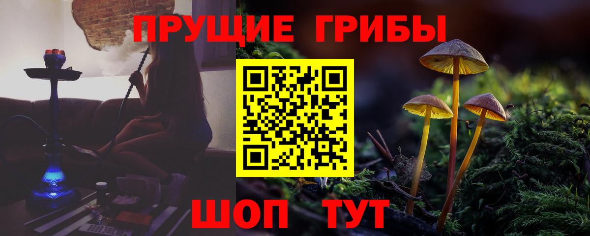 Псилоцибиновые грибы прущие грибы  Вход с VPN  Истра 